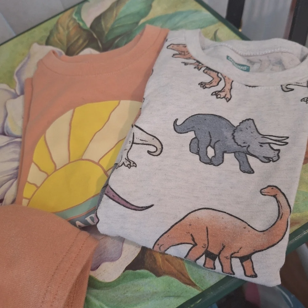 Kids' Summer Outfit Set - Dinosaur, Leaf, and Surfboard Prints